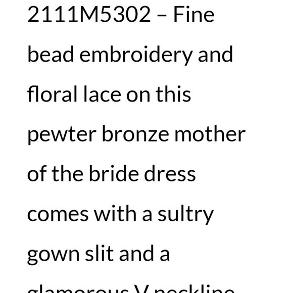 Terani Couture Gown size 18 2111M5302 $699..retail price $1210+tax - Picture 5 of 14